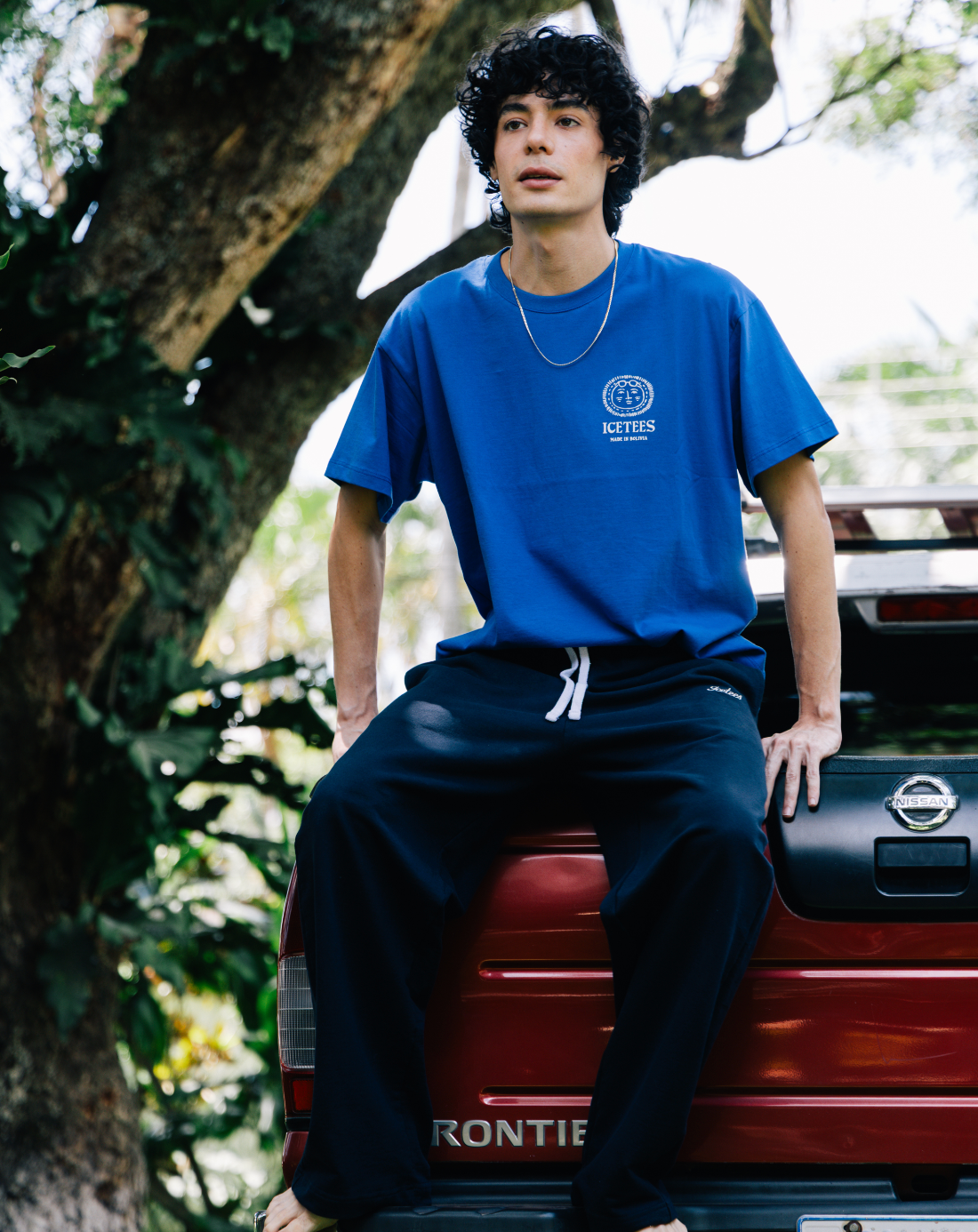 Icetees Summer Tour Tee