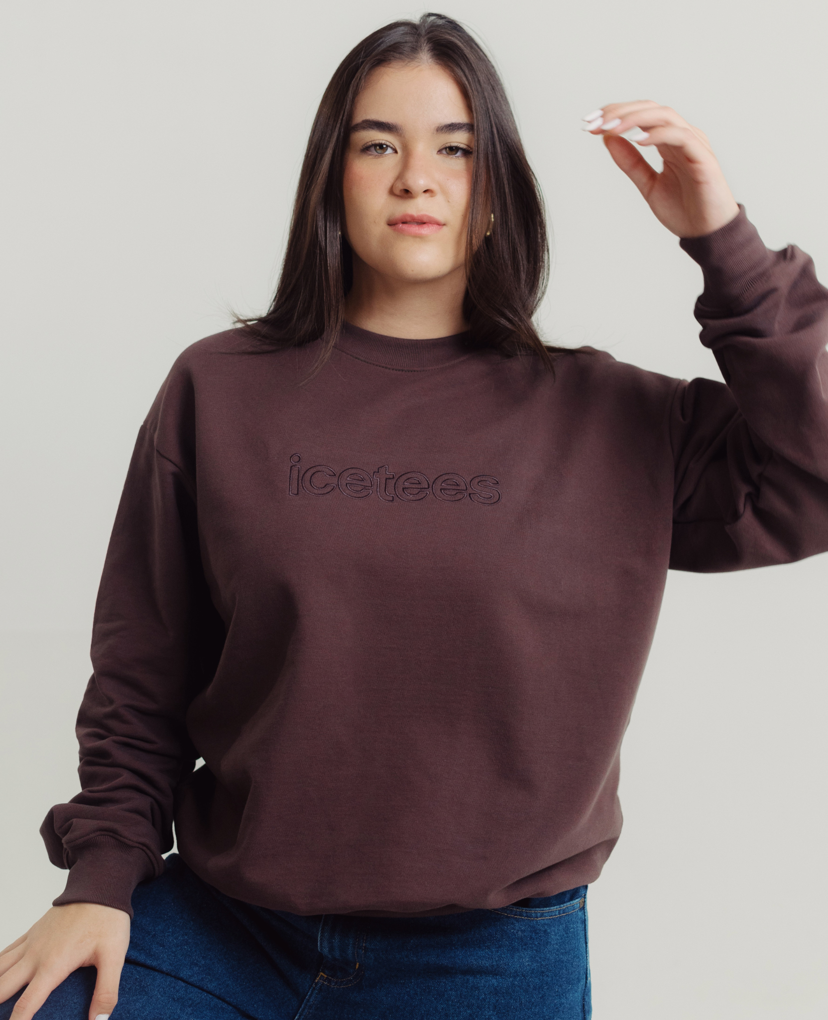 Sudadera Icetees Outline logo Brown